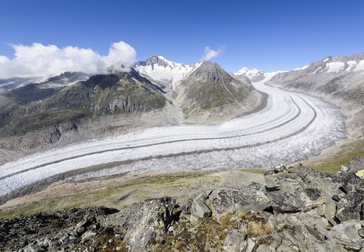 Aletsch Region